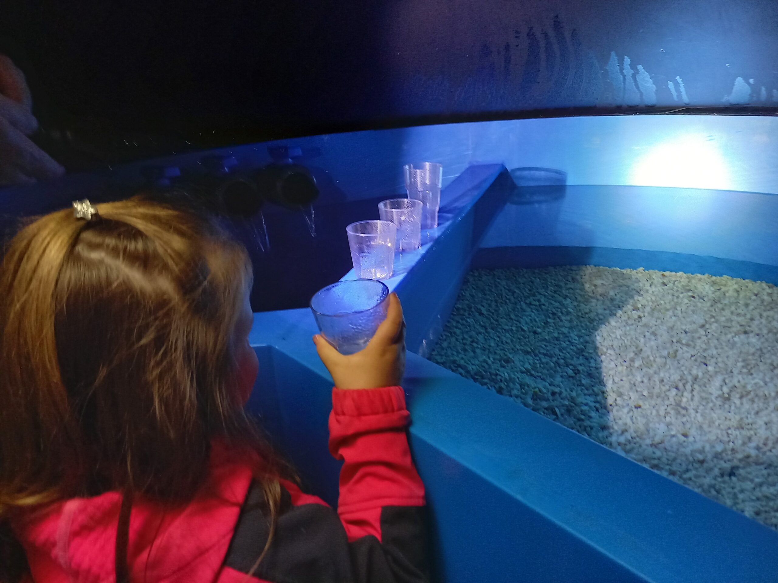 dem Trinkwasser „auf der Spur ….“ – von der Quelle zu den Verbrauchern